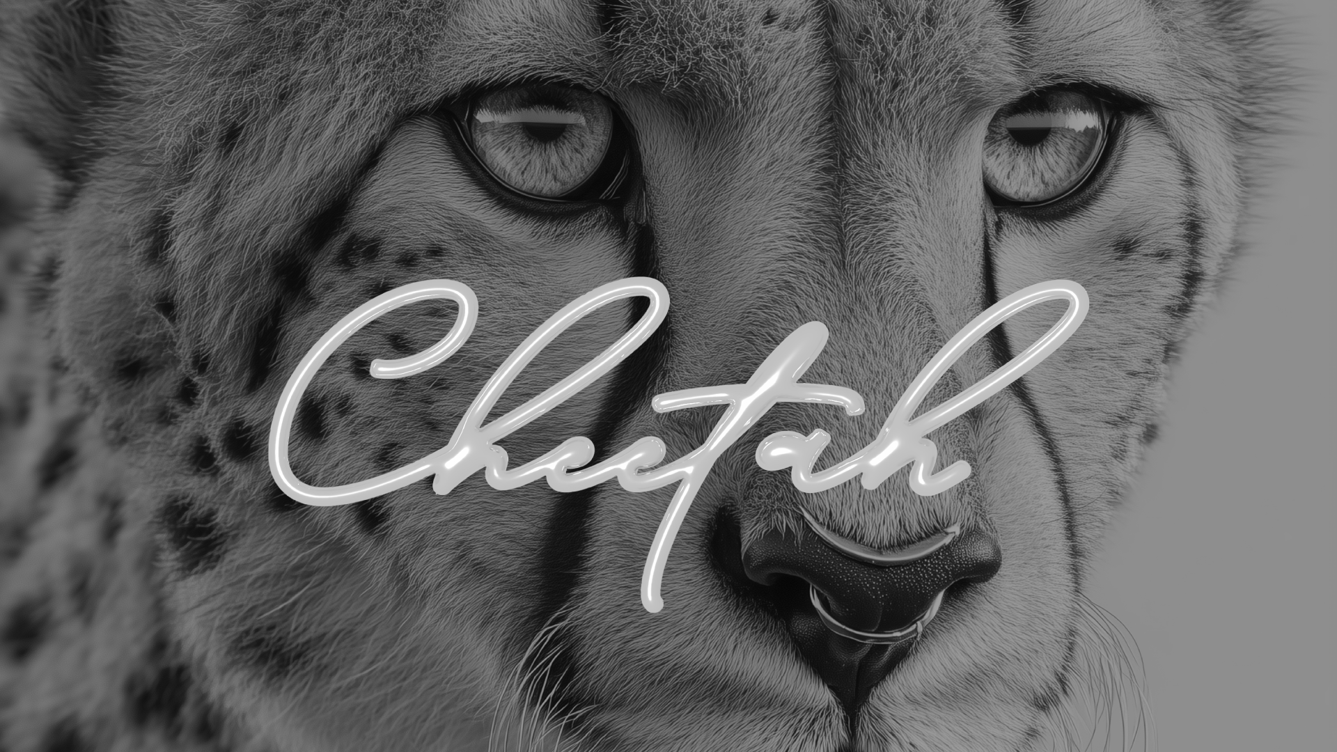 תמונת קאבר לאתר תלת מימד