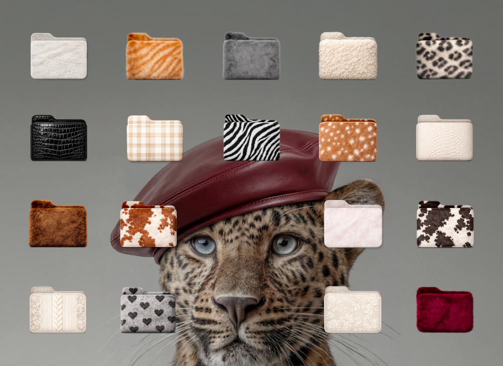 תיקיות מידה פצצה בול לאתר הדרכה